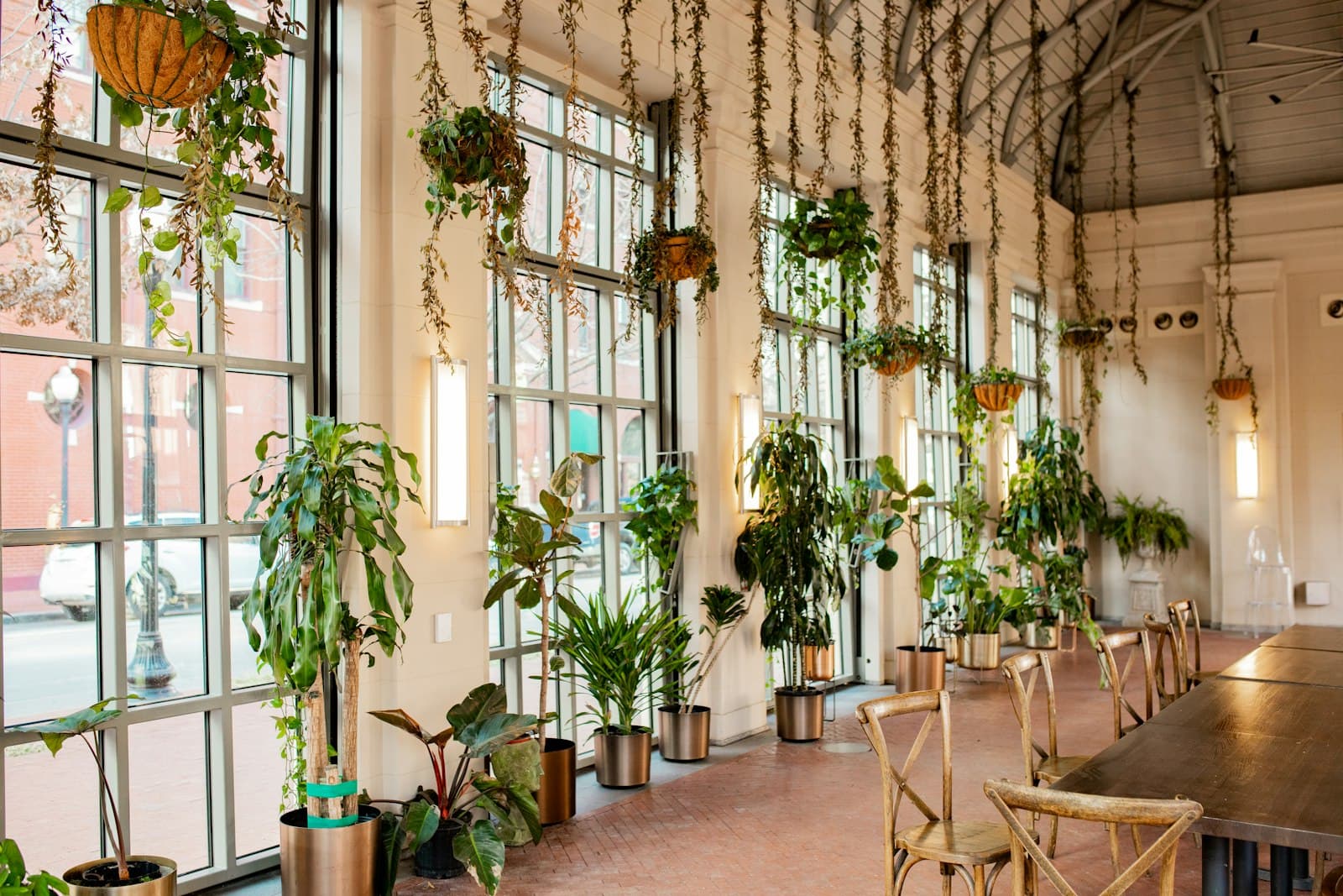 Un salón lleno de plantas colgantes, con mesas largas de madera y ventanales hasta el techo